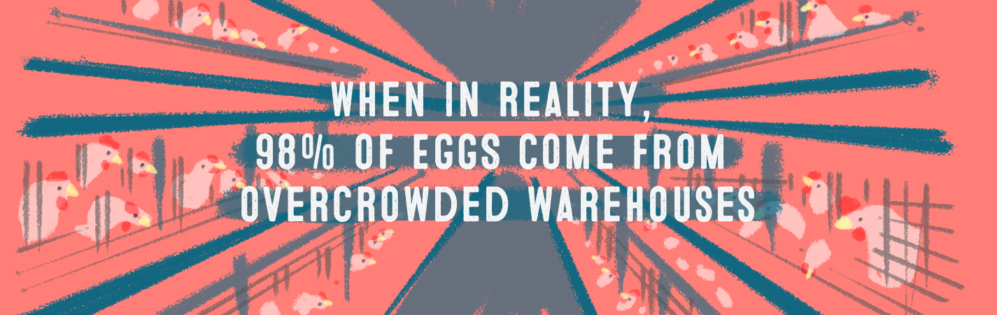 WHEN IN REALITY, 98% OF EGGS COME FROM OVERCROWDED WAREHOUSES.