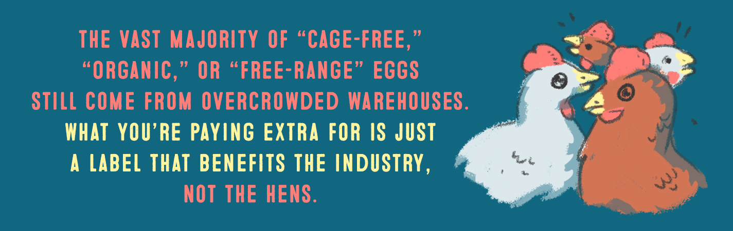 THE VAST MAJORITY OF CAGE-FREE, ORGANIC OR FREE-RANGE EGGS STILL COME FROM OVERCROWDED WAREHOUSES. WHAT YOU'RE PAYING EXTRA FOR IS JUST A LABEL THAT BENEFITS THE INDUSTRY, NOT THE HENS.