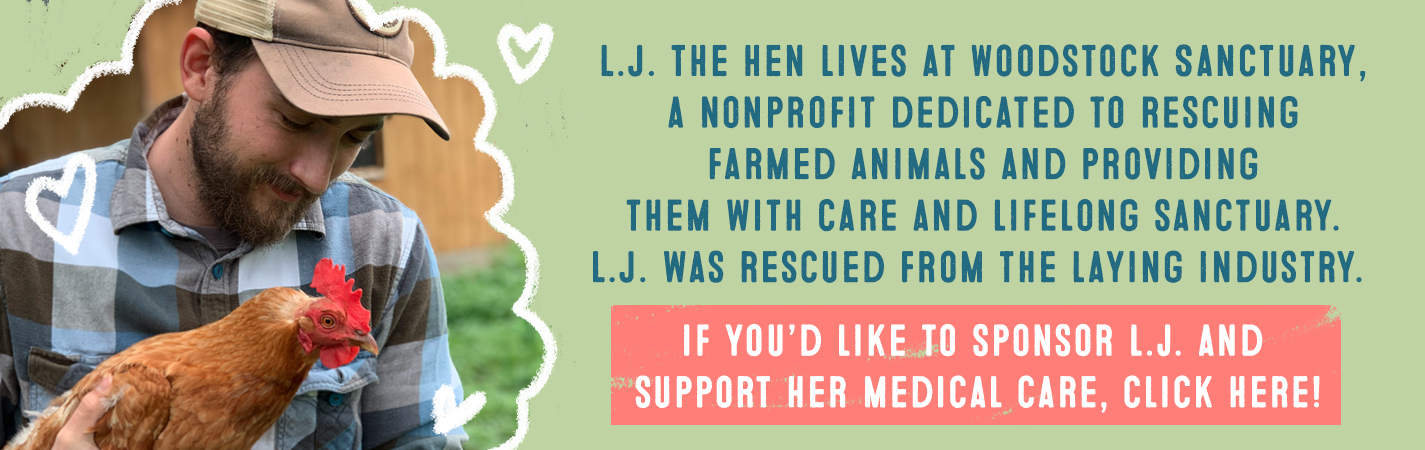 L.J THE HEN LIVES AT WOODSTOCK SANCTUARY, A NONPROFIT DEDICATED TO RESCUING FARMED ANIMALS AND PROVIDING THEM WITH CARE AND LIFELONG SANCTUARY. HAPPY WAS RESCUED FROM THR LAYING INDUSTRY. IF YOU'D LIKE TO SPONSOR HAPPY TO SUPPORT HER MEDICAL CARE, CLICK HERE.